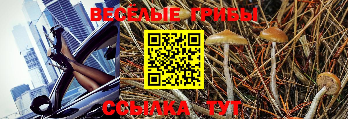 Псилоцибиновые грибы MAGIC MUSHROOMS  Вход с VPN  Евпатория  Галлюциногенные грибы мухоморы 