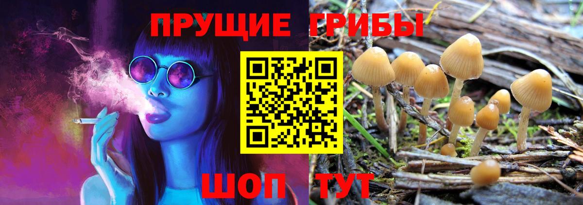 Псилоцибиновые грибы Cubensis Евпатория